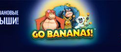 Выигрыши золотом от слота Go Bananas!